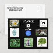 maart Vissen Verjaardag Briefkaart (Voorkant / Achterkant)