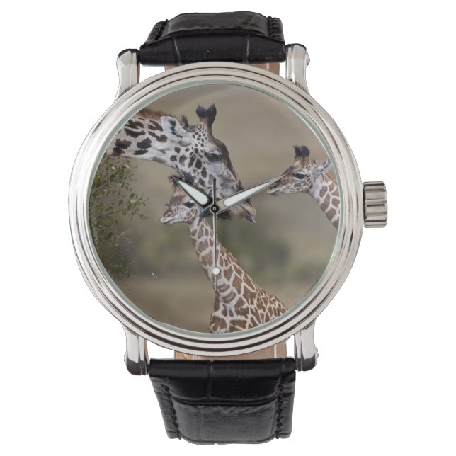 Maasai Giraffe (Giraffe Tippelskirchi) Horloge (Voorkant)
