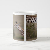 Maasai Giraffe (Giraffe Tippelskirchi) Jumbo Mok (Voorkant)