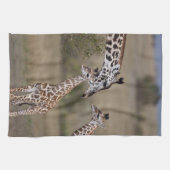 Maasai Giraffe (Giraffe Tippelskirchi) Theedoek (Horizontaal)