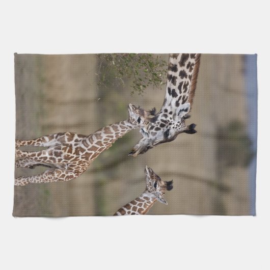 Maasai Giraffe (Giraffe Tippelskirchi) Theedoek (Horizontaal)