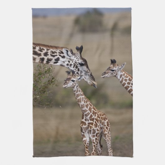 Maasai Giraffe (Giraffe Tippelskirchi) Theedoek (Verticaal)