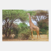 Maasai Giraffe Inpakpapier Vel (Voorkant)