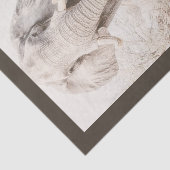 Maat Afrikaanse olifant foto Tissuepapier (Detail)