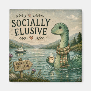 Maatschappelijk ontoegankelijke Nessie knusse cryp Magneet
