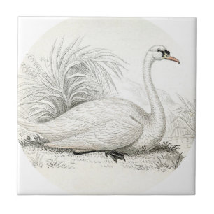 Maatwerk prachtige vintage kunst shabbychic zwaan tegeltje