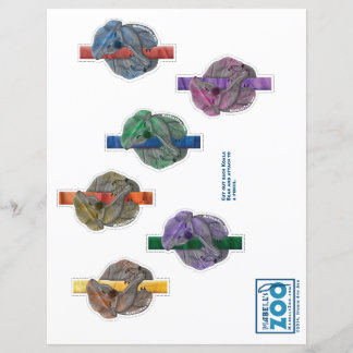 Mabell's Zoo Koala Beer Cutout