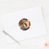Mac Cat foto Stickers (Envelop)
