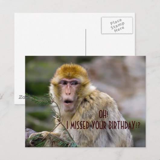 Macaca sylvanus briefkaart (Voorkant / Achterkant)