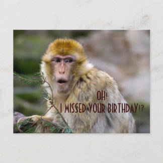 Macaca sylvanus briefkaart