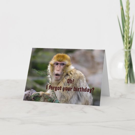 Macaca sylvanus kaart (Voorkant)