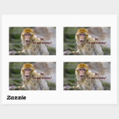 Macaca sylvanus rechthoekige sticker (Vel)