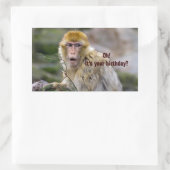 Macaca sylvanus rechthoekige sticker (Tas)