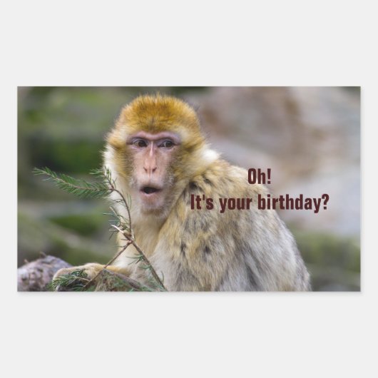 Macaca sylvanus rechthoekige sticker (Voorkant)