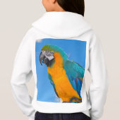Macao bleu et jaune (Dos)