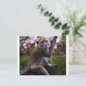 Macaque Briefkaart (Staand voorkant)