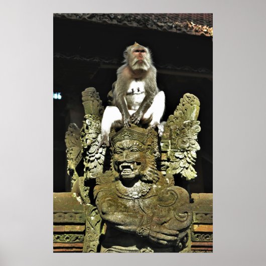 Macaque op een Tempelbeeld Poster (Voorkant)