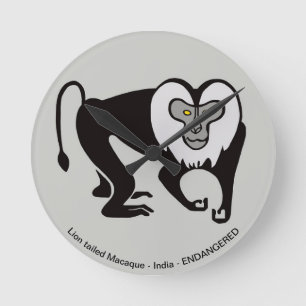 Macaque - ronde klok