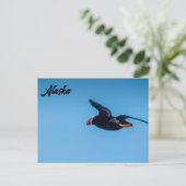 Macareux cornu en vol Carte postale d'Alaska (Debout devant)