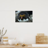 Macaroni Penguin , vergadering over eieren Poster (Keuken)