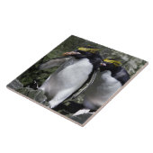 Macaroni Penguins, Zuid-Georgië Tegeltje (Zijkant)