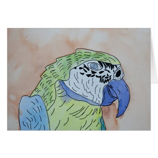 Macaw (Voorkant Horizontaal)