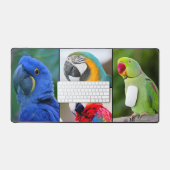 Macaw 4 Photo Collage Custom Monogram Bureaumat (Keyboard & Muis)