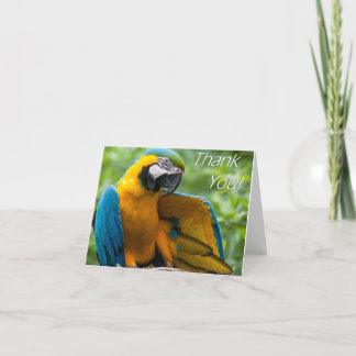 Macaw Bedankt Notecards