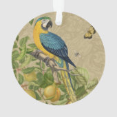 Macaw Blue Jaune Tropical Jungle Antique (dos)