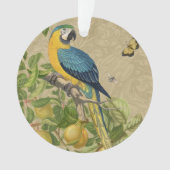 Macaw Blue Jaune Tropical Jungle Antique (devant)