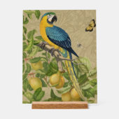 Macaw Blue Jaune Tropical Jungle Antique (Recto)