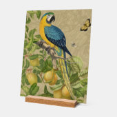 Macaw Blue Jaune Tropical Jungle Antique (Angle)