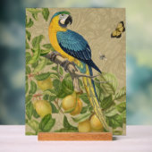 Macaw Blue Jaune Tropical Jungle Antique (Neutre)