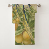 Macaw Blue Jaune Tropical Jungle Antique (En situation)