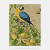 Macaw Blue Jaune Tropical Jungle Antique (Recto)