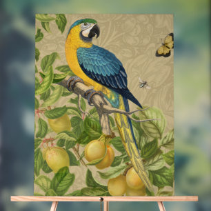 Macaw Blue Jaune Tropical Jungle Antique