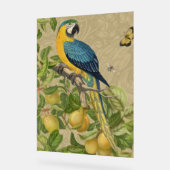 Macaw Blue Jaune Tropical Jungle Antique (Angle)