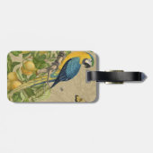 Macaw Blue Yellow Tropical Oerwoud Antiek Bagagelabel (Achterkant horizontaal)