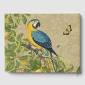 Macaw Blue Yellow Tropical Oerwoud Antiek Gastenboek (Achterkant)