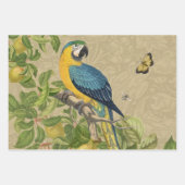Macaw Blue Yellow Tropical Oerwoud Antiek Inpakpapier Vel (Voorkant)