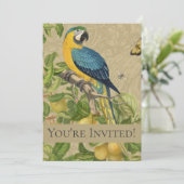 Macaw Blue Yellow Tropical Oerwoud Antiek Kaart (Staand voorkant)