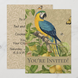 Macaw Blue Yellow Tropical Oerwoud Antiek Kaart