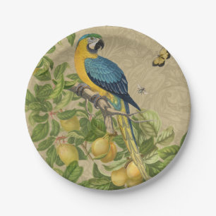Macaw Blue Yellow Tropical Oerwoud Antiek Papieren Bordje
