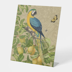 Macaw Blue Yellow Tropical Oerwoud Antiek Reclamebord Met Voetstuk