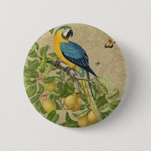 Macaw Blue Yellow Tropical Oerwoud Antiek Ronde Button 5,7 Cm (Voorkant)