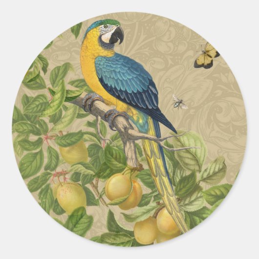 Macaw Blue Yellow Tropical Oerwoud Antiek Ronde Sticker (Voorkant)