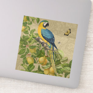 Macaw Blue Yellow Tropical Oerwoud Antiek Sticker