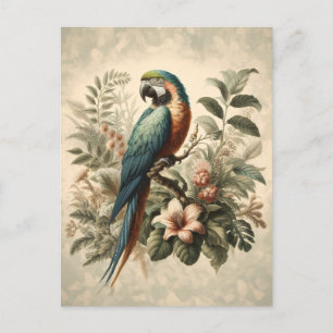  Macaw Botanische Schilderij Briefkaart