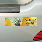 Macaw Bumpersticker (Op auto)
