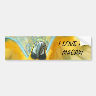 Macaw Bumpersticker